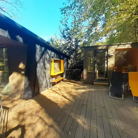 Szalamandra * Dömös